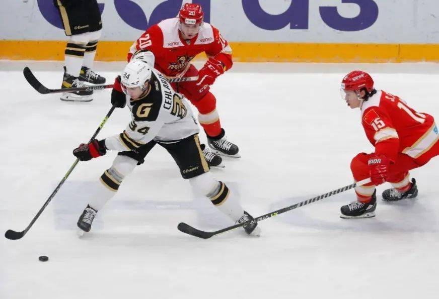 美国击败加拿大队夺得曲棍球冠军